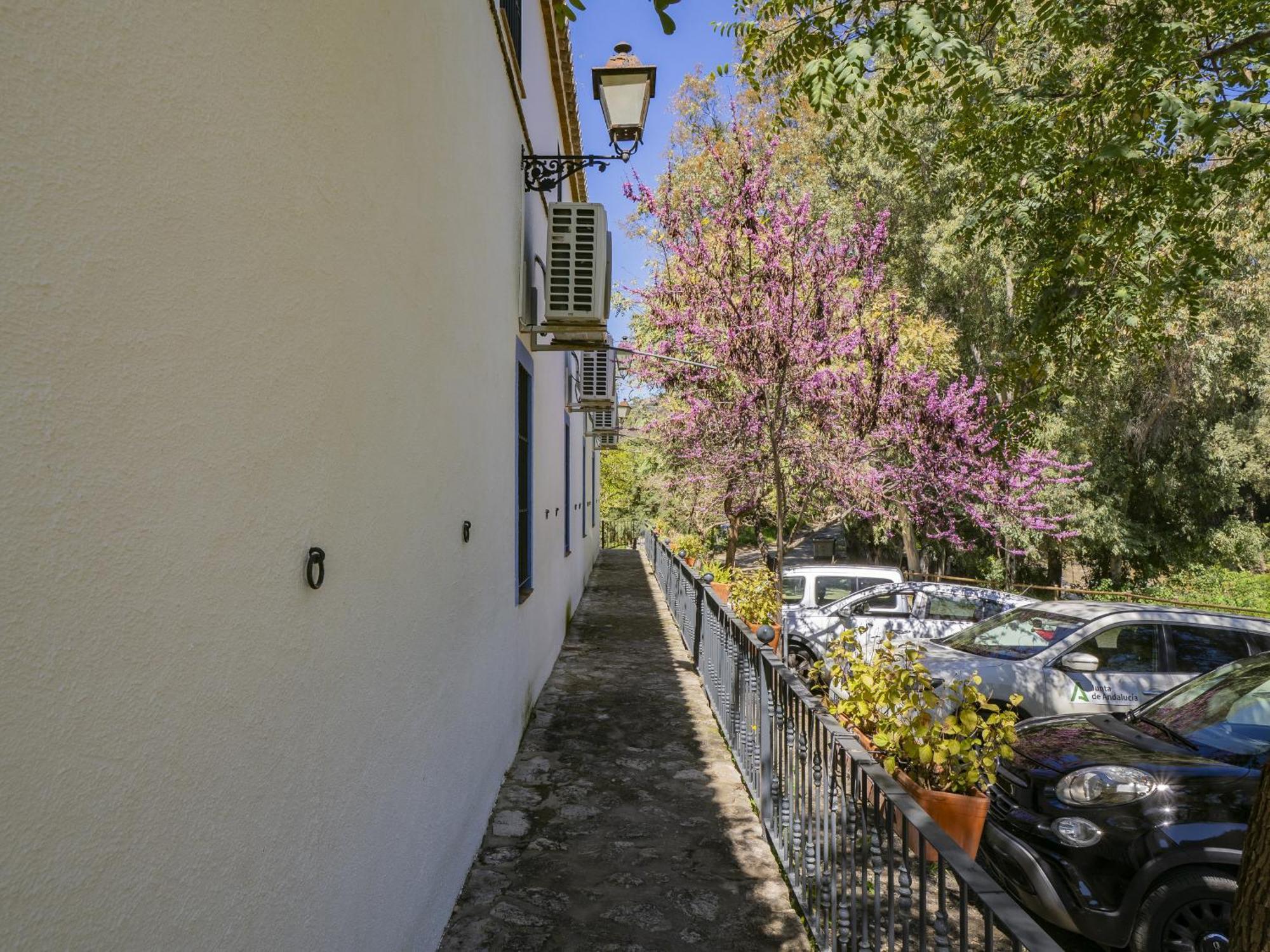 Cubo'S Hotel Cortijo San Antonio Casarabonela Ngoại thất bức ảnh